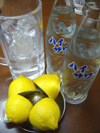 kud104-5.jpg