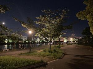 IMG_3182.JPG