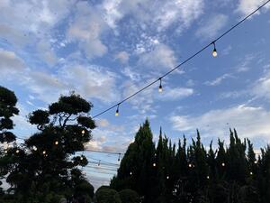 IMG_8294.JPG
