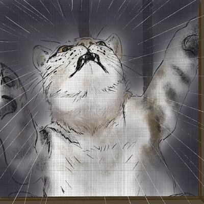 猫転2025-5-22 2.jpg