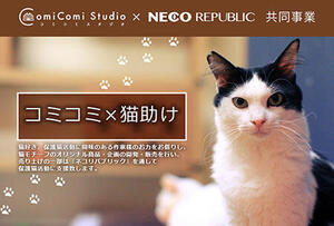 中央書店、保護猫支援プロジェクト「コミコミ×猫助け」始動